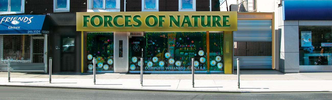Forces of Nature, Brooklyn Health Storefront